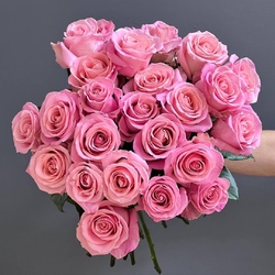 Роза 60 см. розовая