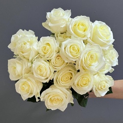 Роза белая 50 см.