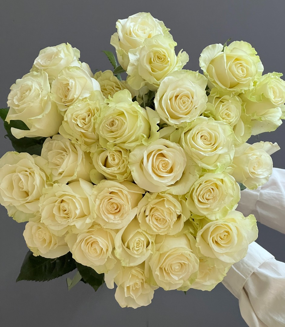 Роза Мондиаль 60 см. белая